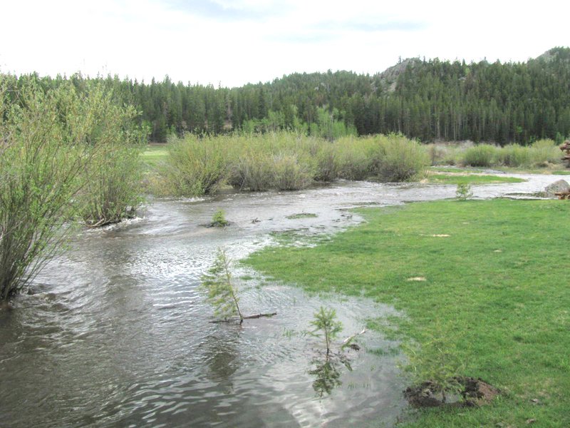 Property photo 22 - Get Lost in the Pristine Northern Colorado Rockies - Prime Building Sites